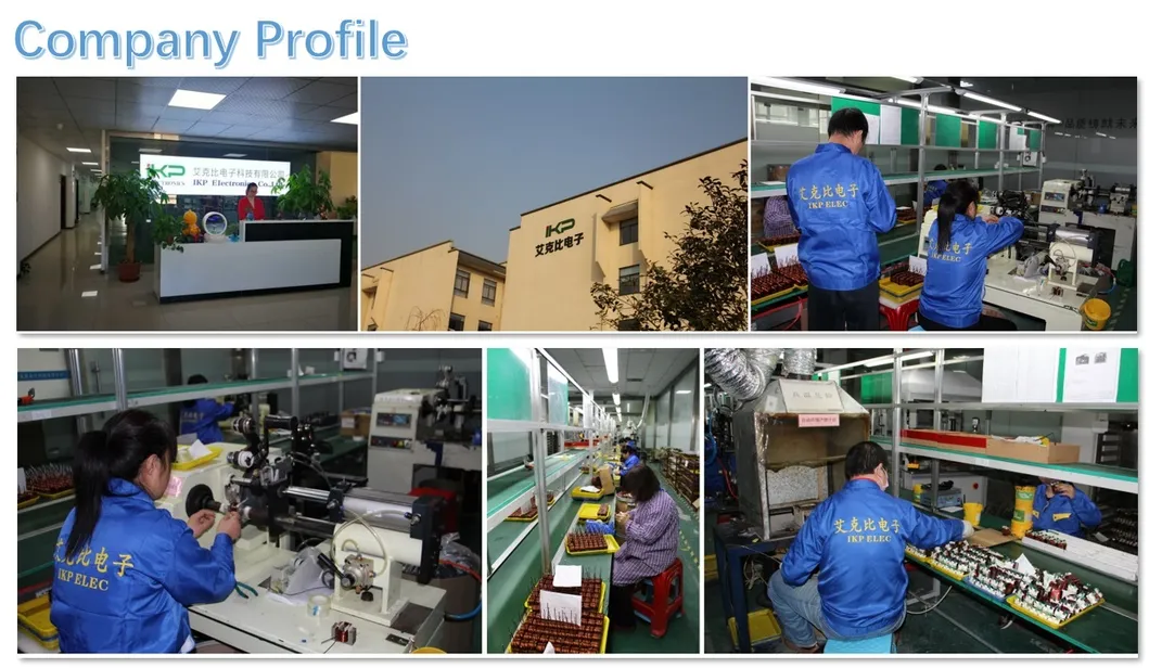 Ikp Integrated Transformer Carton/Pallet Pfc Choke Coil Differential Mode Inductance